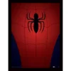 Marvel - Ultimate Spider-man - Toile 30x40 (18mm) - Spider-man Torso