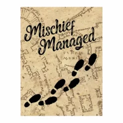 Pyramid International Harry Potter - Toile 60x80 (18mm) - Mischief Managed